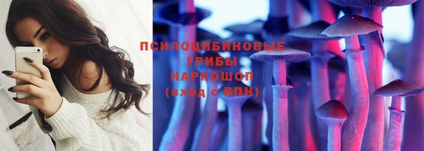 соль ск Абаза